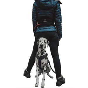 mamo 360° infinity belt system + bungee leash um 149,06 € statt 190 €