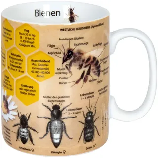 Könitz Kaffeetasse 0,36 l Mehrfarbig