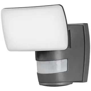 Ledvance LED-AUßENLEUCHTE , Klar , Glas , 16.9x19.5x15.5 cm , Ce , Bewegungsmelder , Lampen & Leuchten, Außenbeleuchtung, Außenleuchten