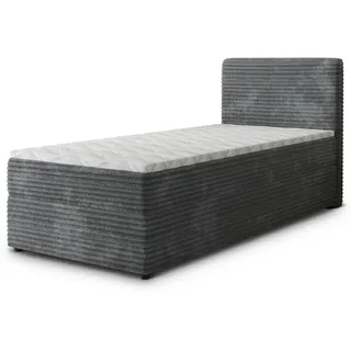 masseno PISA 100 x 200 cm H2 Grau