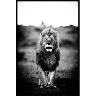 Bild , Schwarz, Weiß , Kunststoff , rechteckig , 90x135 cm , einfache und schnelle Anbringung, glänzend , Bilder & Rahmen, Bilder, Sonstige Wandbilder