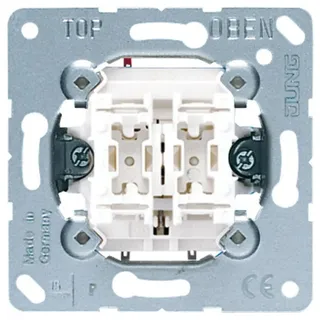 Jung Doppel-Taster 10A 250V (535 U)