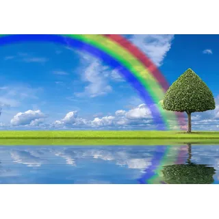 Papermoon Fototapete »regenbogen Wiese«, bunt