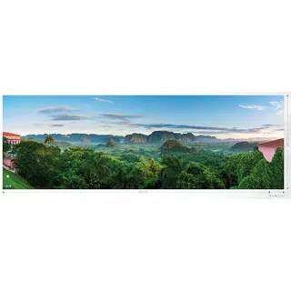 Rasch Textil rasch »Young Artists« Wald, gemustert glatt, bunt,