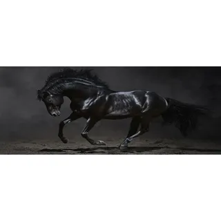 Tulup® Küchenrückwand Spritzschutz aus Glas -125x50 -Spritzschutz auf gehärtetes Glas Deko Tiere Schwarzes Pferd - Schwarz