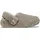 Slipper Mushroom 36-37