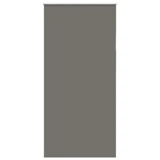 vidaXL Verdunkelungsrollo Grau 100x230 cm Stoffbreite 95,7cm Polyester - Grau