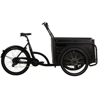 BBF BIke eCargorider 3.1 2023 26/24 Zoll RH 68 cm Damen schwarz