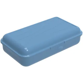 Rotho Fun Vesperdose 1,7l mit herausnehmbarer Trennwand, Kunststoff (PP) BPA-frei, blau, L/1,7l (24,5 x 14,5 x 6,5 cm)