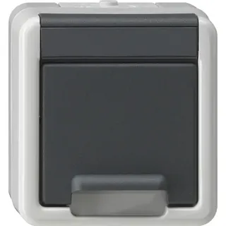 Gira Schuko-Steckdose 1 St. Grau