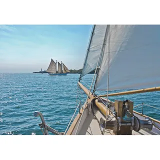 KOMAR Fototapete Sailing 368 x 254 cm