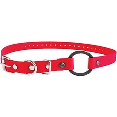 Educator Bungee-Hundehalsband, Biothan, wasserdicht, geruchlos, Metallschnalle und D-Ring mit Komfort-Bungee-Schlaufe, verstellbar für individuelle Passform, 1,9 cm, Rot