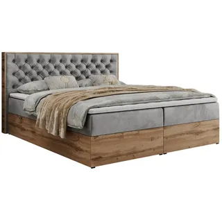 MKS Meble MKS Boxbett, Hellgrau Velvet - Grau