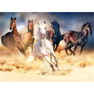 Pracht Creatives Hobby Diamond Painting Set, Bild mit Motiv Galoppierende Pferde und Zubehör, Größe ca. 35 x 25 cm, Bastelset zum Malen mit Glitzersteinchen für Kinder ab 5 Jahren