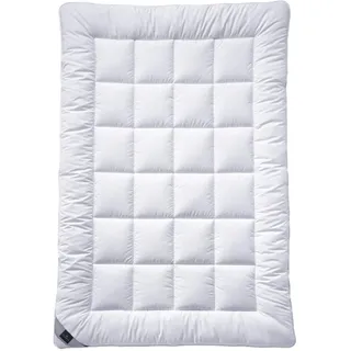 Billerbeck Bettdecke Classic Clean – 200 x 200 cm – warme Winterdecke – atmungsaktive Decke für den Winter