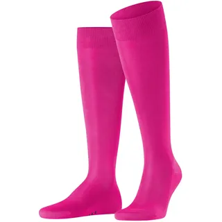 Falke Tiago Kniestrümpfe Berry 45-46