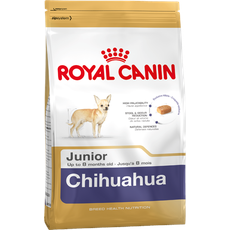 Bild von Chihuahua Junior 1,5 kg