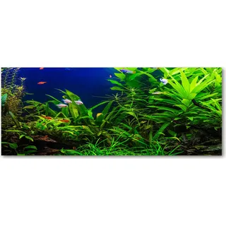 Tulup® Küchenrückwand Spritzschutz aus Glas -125x50 -Spritzschutz auf gehärtetes Glas Deko Landschaften Fische im Aquarium - Grün