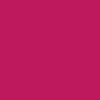 plottiX Vinylfolie permanent pink 31,5 cm x 1,0 m, 1 Rolle