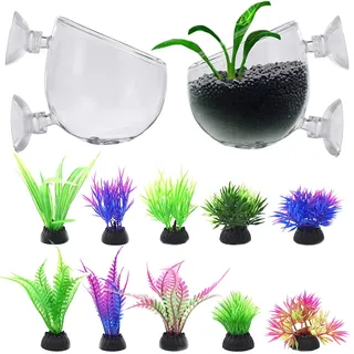 NC Aquarium Pflanzenhalte DBAILY Aquarium Pflanzen Dekorationen Aquarium Fütterung Glas Cup Topf mit 2 Saugnäpfen FüR Aquarium Pflanzschale Glas Deko Plant Pot Aquascaping