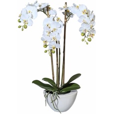 Bild Kunstpflanze »Mini Orchidee«, weiß