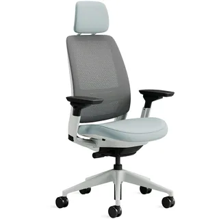 Steelcase Series 2 Ergonomischer Bürostuhl mit LiveBack Lumbalstütze, 4D-Armlehnen, anpassbarer Kopfstütze Sturmhorizont, 72 x 64 x 127
