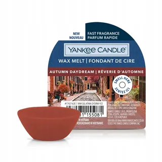 Yankee Candle Autumn Daydream Duftwachs 22 g braun/bronze