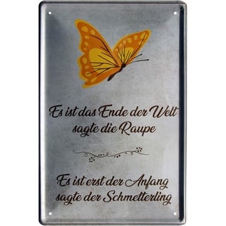 Es ist das Ende sagt Raupe der Anfang sagt Schmetterling 20x30 Blechschild 294