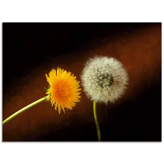 Artland Glasbild »Pusteblume Löwenzahn« Blumen 1 Stk. tlg. in verschiedenen Größen, braun