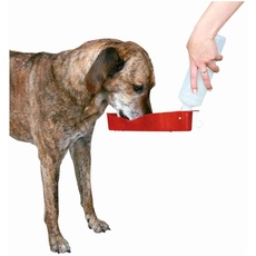 Bild von Wasserspender/Trinkflasche für Hunde 250 ml, Farblich sortiert