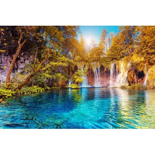 Papermoon Fototapete »kleiner Teich im Wald«, bunt