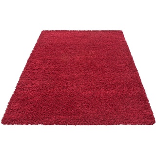 Dream Shaggyteppich 65 x 130 cm rot