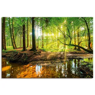 Artland Wandbild »Wald mit Bach«, Wald, (1 St.), als Alubild, Outdoorbild, Leinwandbild, Poster, Wandaufkleber, grün