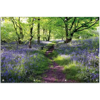 Wallario Outdoor-Poster für Garten oder Balkon, Motiv Blaues Hasenglöckchen im Wald, in ca. 80 x 120 cm - Grün