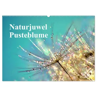 Naturjuwel Pusteblume (Wandkalender 2026 DIN A2 quer), CALVENDO Monatskalender: Ein außergewöhnlicher Wandkalender mit wundervollen Makro-Fotografien der Pusteblume (CALVENDO Natur)