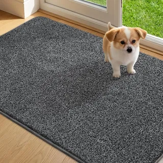 Mibao Fußmatte Innen 60 x 90 cm, Schmutzfangmatte für den Eingangsbereich, Türmatte, rutschfeste, Super Saugfähige Willkommen Matte Teppich für Haustür, Hintertür, Schuhe und Pfoten, Grau