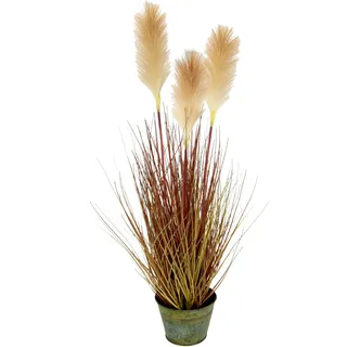 I.GE.A. Kunstpflanze »Pampasgras« Im Metalltopf, beige