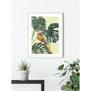 KOMAR Wandbild Green-Winged Macaw