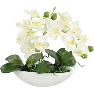 Künstliche Orchidee in Schale 27cm Kunstblume Blume Kunstorchidee Phalaenopsis mit Übertopf Kunstpflanze Hochzeit Deko Schmetterling Phalaenopsis Dekoblume Seidenblume Blumenarrangements, weiß