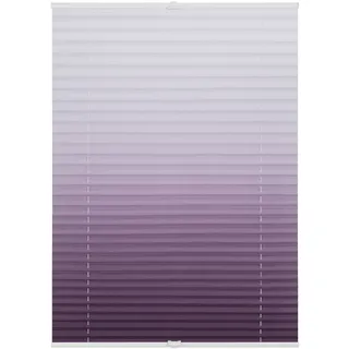 Lichtblick Plissee Klemmfix, ohne Bohren, verspannt, Farbverlauf Taupe Weiß, 120 cm x 130 cm (B x L)