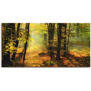 Artland Wandbild »Herbstlicht im Wald«, Wald, (1 St.), als Leinwandbild, Poster, Wandaufkleber in verschied. Größen Artland grün