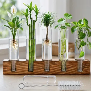 Reagenzglas Vase mit Ständer und Reinigungsbürste