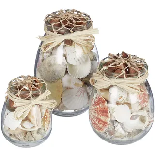 Relaxdays Muschel Deko 3er Set Transparent/Creme