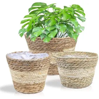 Beige Handgewebte Seegras-Grundstücks-Gruppenhalter - Beige
