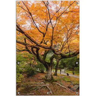 Wallario Outdoor-Poster für Garten oder Balkon, Motiv Gelber Ahornbaum im Herbst in Japan, in ca. 80 x 120 cm - Schwarz