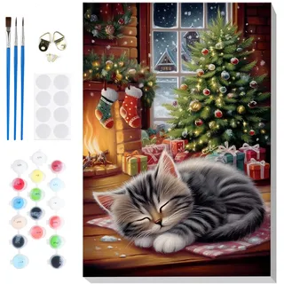 Lxmsja Weihnachten Malen Nach Zahlen Erwachsene mit Rahmen, Malen Nach Zahlen Katze, Diy Set Erwachsene Tier Handgemalt Ölgemälde Leinwand Geschenke für Home Décor, 20x30cm