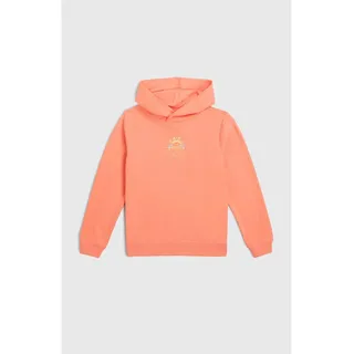 O'Neill O'neill Back Print Hoodie coral pink (14034) 176