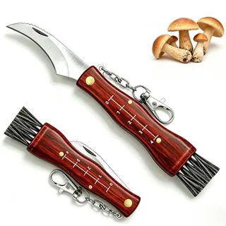 ErgoBuild Pilzmesser mit Bürste, Schwammerlmesser mit Pinsel und Holzgriff | Pilze Putzmesser, Pilz Messer, Pilzpflückmesse Klappbar für Pilzsammler, Edelstahl