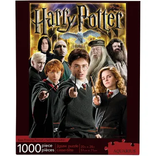 Aquarius Harry Potter puzzle Collage (1000 Teile)