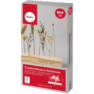 Rayher Bastelpackung Holzleiste mit Trockenblumen, Steckleiste Holz FSC zertifiziert, 22,7 x 4 cm, Dekoration Trockenblumen, 85484000, Natur